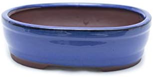 Bonsai Tree Pot Glazed & Unglazed 8" (Ocean Blue Oval)