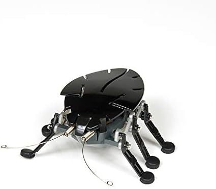 hexbug beetle