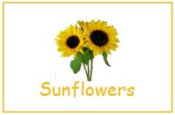 English Gems 4 x Handmade Personalised Natural Favours with Sunflower Seeds and Message on Card in Organza Bag