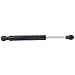 ECCPP 2pcs Rear Trunk Lift Supports for 2004-2008 Nissan Maxima Compatible with SG425004 4078