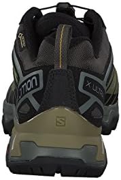 Salomon X Extremely 3 Gore-Tex Males’s Mountaineering Sneakers