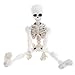Kalttoyi Movable Mr. Bones Skeleton Human Model Skull Full Body Mini Figure Toy Halloween