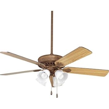 Amazon Com Progress Lighting P2616 Xx Airpro Ceiling Fan Light