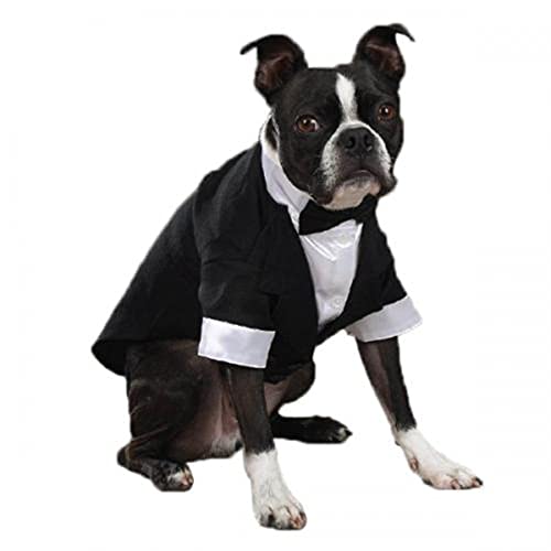 East Side Collection "Yappily Ever After" Groom's Tuxedo for Dogs, 12" Small