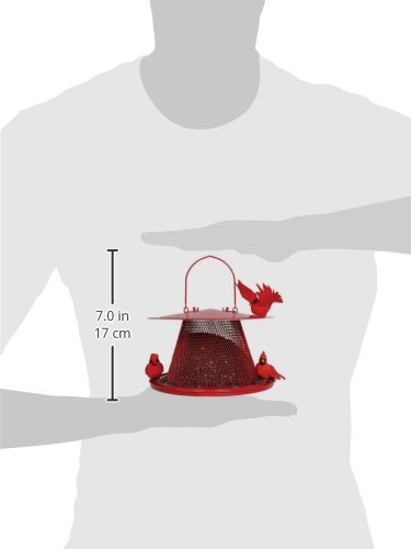 5 Perky+Pet+C00322+Cardinal+Bird+Feeder