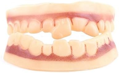 Chen Han Halloween Zombie Vampire Dentures Fake Teeth Party Decoration Masquerade Props
