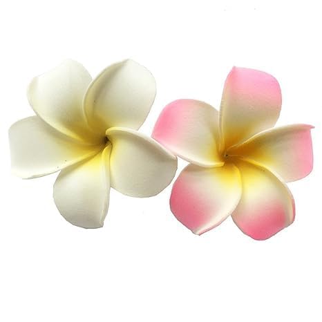2Pcs White and Pink Hawaiian Frangipani, Foam Head Flower, Party Beach Hair Clip Hair Clips Hair Accessories(7cm)