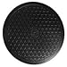 LapWorks 10 inch Heavy-Duty Swivel Base - 0.8