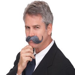 Handle Bar Mustache - Grey