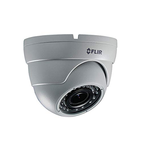 FLIR Digimerge C134ED Outdoor Security Eyeball Dome Camera, 2.1MP HD