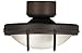 Wet Location Oil Rubbed Bronze Ceiling Fan Light Kit
