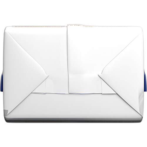 5 Swanson+Natural+Goodness+Chicken+Broth+Carton