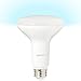 Amazon Basics 65 Watt Equivalent, Daylight, Dimmable, 15,000 Hour Lifetime, BR30 LED Light Bulb | 2-Pack
