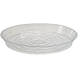 Clear Plant Saucers - 10 Pack of 10" - Excellent For Indoor &amp; Outdoor Plants