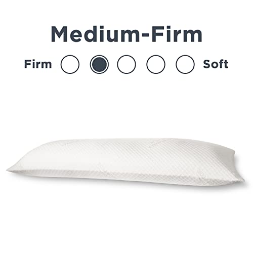 TempurPedic TEMPURBody Pillow, Queen Pricepulse
