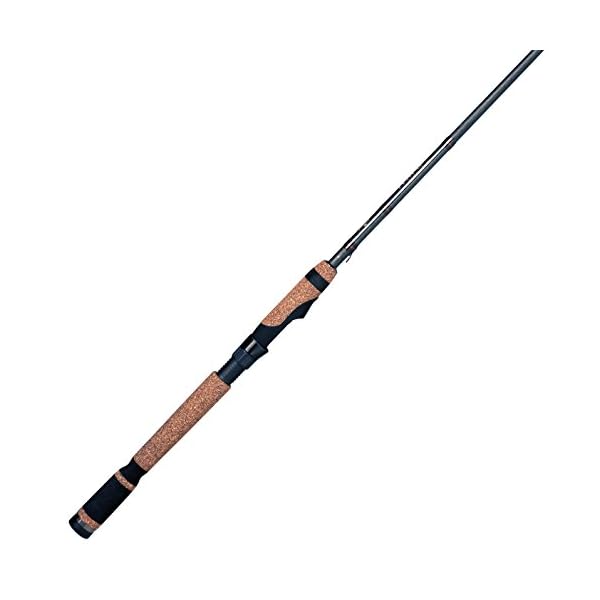 Fenwick-HMG-Spinning-Rods