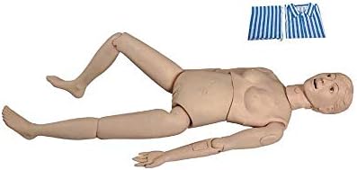 ZHMX Medicine Model Female Nursing Operating Model Biological Science Teaching Demonstration Model