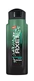Axe Shampoo Downpour, Refreshing Mint, 12Ounce (Pack of 2)