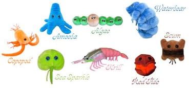 Set of 9 Aquatic Giantmicrobes