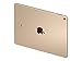 Apple 9.7-Inch iPad Pro Wi-Fi + Cellular, 9.7