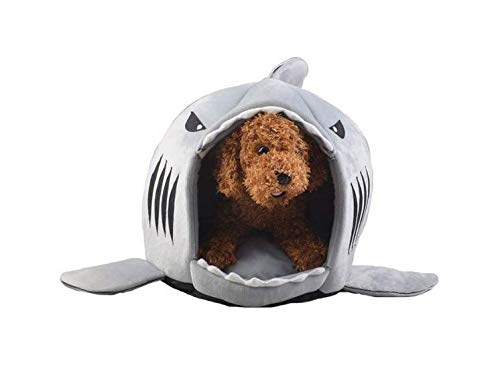 cat sleeps in dog crate