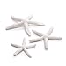 biOrb 46134.0 Starfish Set 3 White Aquariumsthumb 2