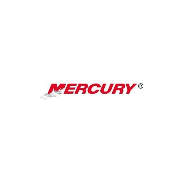 OEM-Mercury-Quicksilver-Outboard-in-line-Fuel-Filter-35-879885Q-Fits-405060-HP-4-Stroke-EFI-75-115-135-300HP-Verado OEM-Mercury-Quicksilver-Outboard-in-line-Fuel-Filter-35-879885Q-Fits-405060-HP-4-Stroke-EFI-75-115-135-300HP-Verado