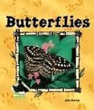 Butterflies (Animal Kingdom) by 