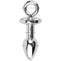 Amazon.com: NOVYEGZL Dog Leash Metal Anal Plug Leather Rope Collar ...