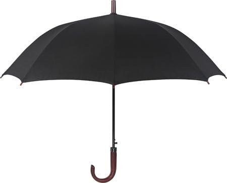 Leighton 46 Inch Auto Open Stick Umbrella