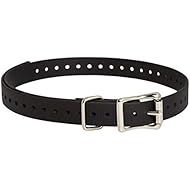 rsc petsafe sportdog