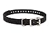 SportDOG 3/4-Inch Collar Strap - Waterproof Replacement Strap for Rugged Outdoor Use - Adjustable Collar with High Visibility - Black