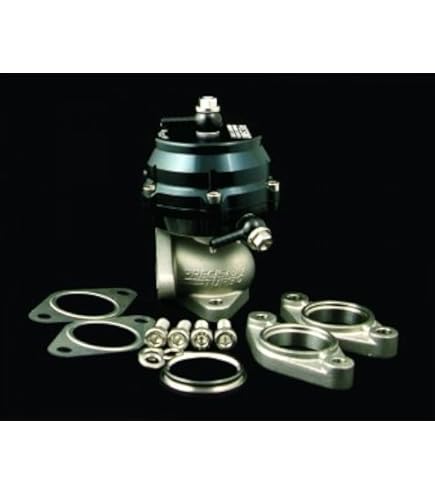Amazon.com: Tial 001930 MV-R External Wastegate 44mm V-Band