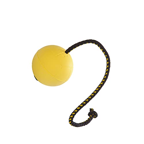 DINGO GEAR Training Ball 30 cm Handle Floating on Water Filled Rubber Dog Toy with String Pulled Through the Inside for Dog Training Retrieve Agility Reward Fun Yellow S02703