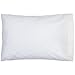 Toddler Pillow 13x18 with Pillowcase 14x19 - Soft Kids Pillows for Sleeping - Made in USA - Perfect for Travel, Toddler Cot, Bed Set - Washable - Hypoallergenic - Toddlers, Infant, Baby