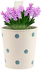 Nuha Railing Plante - Rust Free Single Pot Railing Planter with Polka dots, Combo, Flower Pot, Wall Planter, Metal Planter, Garden Planter, Return Gift, Birthday Gift, Home Decor, Garden Decor