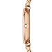 Emporio Armani Women's Stainless Steel Watch (Model: AR1909)