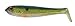 Strike King (SHDLC3.5-500) Shad-A-Licious Fishing Lure, 500 - Clear Ghost Sexy Shad, 3.5