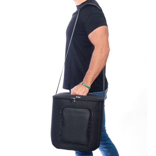Bolsa Case Capa Bag Bisbel Compatível com J b l Partybox Encore 2 Acolchoada