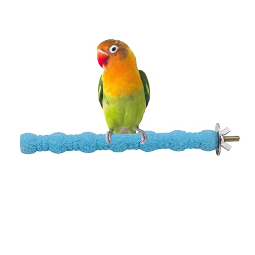 Hypeety Wood Paw Grinding Stick