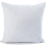 Two - 400 Thread Count - 26 x 26 Square-Down Alternative - Euro Pillow w/ Removable Zippered Protector