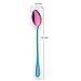 HOMQUEN Rainbow Long Handle Spoon