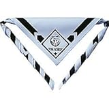 Cub Scout Bear Neckerchief with Slide