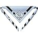 Cub Scout Bear Neckerchief with Slide