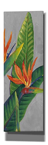 Epic Graffiti 'Bird of Paradise Triptych III' by Tim O'Toole, Canvas Wall Art,…