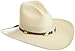Resistol Men's Cisco Hat, Natural, 7 1/2