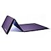 We Sell Mats 4 ft x 8 ft x 2 in Gymnastics Mat, Folding Tumbling Mat, Portable with Hook & Loop Fasteners, Purple