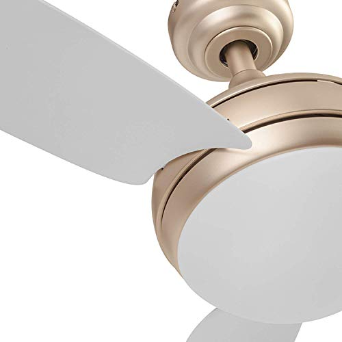直販販促品 Honeywell Ceiling Fans 01 Rio Ceiling Fan 52 Champagne並行輸入品 人気沸騰 Www Webmail Impactorh Com Br