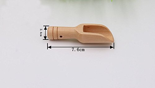 Small Wood Scoops / Mini Spoons for Condiment, Milk, Tea, Spices (Pack of 10)