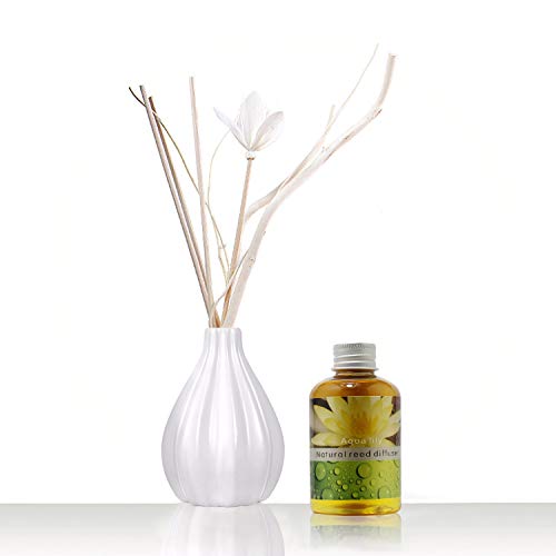 ap airpleasure Dried Flower Reed Diffuser Set, Natural Sticks, Elegant Ceramic Bottle, Aromatherapy Oil Set, Home Fragrance & Decorative Diffuser (Aqua Lily)